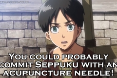 seppukuacupunctureneedle